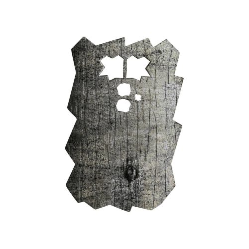 Minox DTC 460 frontcover - beech tree