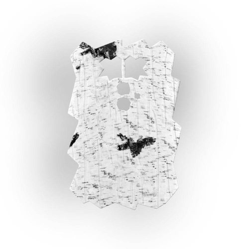 Minox DTC 460 frontcover - birch tree